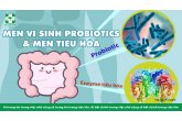MEN VI SINH PROBIOTICS & MEN TIÊU HÓA