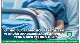 VAI TRÒ CỦA PROBIOTICS, PREBIOTICS & VI KHUẨN AKKERMANSIA MUCINIPHILA TRONG ĐIỀU TRỊ UNG THƯ