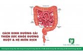 CÁCH DINH DƯỠNG CẢI THIỆN SỨC KHỎE ĐƯỜNG RUỘT & HỆ MIỄN DỊCH