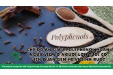 CHẾ ĐỘ ĂN GIÀU POLYPHENOL NGĂN NGỪA VIÊM Ở NGƯỜI LỚN TUỔI CÓ LIÊN QUAN ĐẾN HỆ VI SINH RUỘT