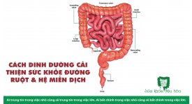 CÁCH DINH DƯỠNG CẢI THIỆN SỨC KHỎE ĐƯỜNG RUỘT & HỆ MIỄN DỊCH