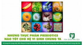 NHỮNG THỰC PHẨM PREBIOTICS NÀO TỐT CHO HỆ VI SINH CHÚNG TA