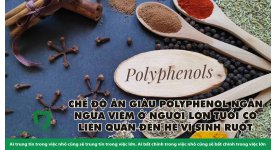 CHẾ ĐỘ ĂN GIÀU POLYPHENOL NGĂN NGỪA VIÊM Ở NGƯỜI LỚN TUỔI CÓ LIÊN QUAN ĐẾN HỆ VI SINH RUỘT