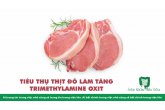 TIÊU THỤ THỊT ĐỎ LÀM TĂNG TRIMETHYLAMINE OXIT  (TMAO) MỘT CHUYỂN HÓA CHẤT LIÊN QUAN BỆNH TIM MẠCH