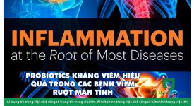 PROBIOTICS KHÁNG VIÊM HIỆU QUẢ TRONG CÁC BỆNH VIÊM RUỘT MÃN TÍNH 