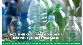 ĐỘC TÍNH CỦA CHẤT DẺO PLASTIC ĐỐI VỚI SỨC KHỎE TIM MẠCH