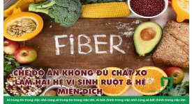 CHẾ ĐỘ ĂN KHÔNG ĐỦ CHẤT XƠ LÀM HẠI HỆ VI SINH RUỘT & HỆ MIỄN DỊCH