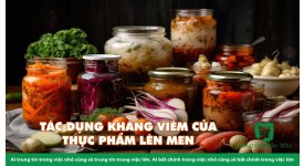 TÁC DỤNG KHÁNG VIÊM CỦA THỰC PHẨM LÊN MEN