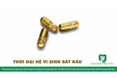 THỜI ĐẠI HỆ VI SINH BẮT ĐẦU