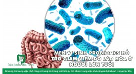 MEN VI SINH PROBIOTICS HỖ TRỢ GIẢM VIÊM DO LÃO HÓA Ở  NGƯỜI LỚN TUỔI