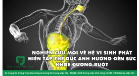 NGHIÊN CỨU MỚI VỀ HỆ VI SINH PHÁT HIỆN TẬP THỂ DỤC ẢNH HƯỞNG ĐẾN SỨC KHỎE ĐƯỜNG RUỘT