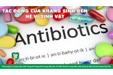 SỰ KẾT HỢP TẾ NHỊ KHI DÙNG PROBIOTICS & THUỐC KHÁNG SINH