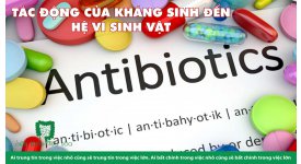 SỰ KẾT HỢP TẾ NHỊ KHI DÙNG PROBIOTICS & THUỐC KHÁNG SINH