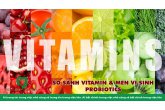 SO SÁNH VITAMIN & MEN VI SINH PROBIOTICS 