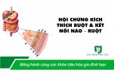 HỘI CHỨNG KÍCH THÍCH RUỘT & KẾT NỐI NÃO – RUỘT 