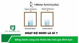 HOẠT ĐỘ NƯỚC LIÊN HỆ VỚI SỰ PHÁT TRIỂN CỦA NẤM, MỐC, VI TRÙNG TRONG THỰC PHẨM NHƯ THẾ NÀO 