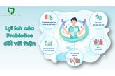 LỢI ÍCH CỦA PROBIOTICS ĐỐI VỚI THẬN