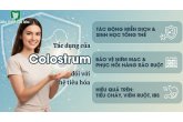 TÁC DỤNG CỦA COLOSTRUM ĐỐI VỚI HỆ TIÊU HÓA