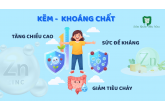 KẼM - KHOÁNG CHẤT TĂNG CHIỀU CAO, SỨC ĐỀ KHÁNG VÀ GIẢM TIÊU CHẢY Ở TRẺ EM