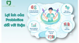 LỢI ÍCH CỦA PROBIOTICS ĐỐI VỚI THẬN