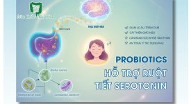 PROBIOTICS HỖ TRỢ RUỘT TIẾT SEROTONIN - HORMONE HẠNH PHÚC, GIÚP ĐIỀU HÒA SỨC KHỎE TÂM THẦN, GIẤC NGỦ