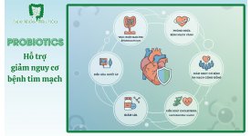 PROBIOTICS HỖ TRỢ GIẢM NGUY CƠ BỆNH TIM MẠCH