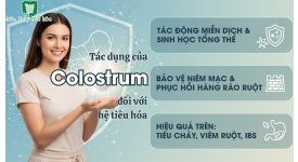 TÁC DỤNG CỦA COLOSTRUM ĐỐI VỚI HỆ TIÊU HÓA