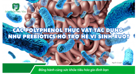 CÁC POLYPHENOL THỰC VẬT TÁC DỤNG NHƯ PREBIOTICS HỖ TRỢ HỆ VI SINH RUỘT