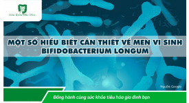 MỘT SỐ HIỂU BIẾT CẦN THIẾT VỀ MEN VI SINH  BIFIDOBACTERIUM LONGUM