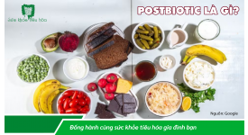 LỢI ÍCH CỦA POSTBIOTICS, MỐI QUAN HỆ VỚI  PROBIOTICS & PREBIOTICS