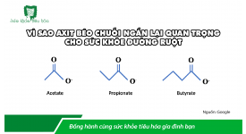 VÌ SAO AXIT BÉO CHUỖI NGẮN LẠI QUAN TRỌNG CHO SỨC KHỎE ĐƯỜNG RUỘT