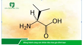 ACID VALINE CẦN THIẾT CHO CƠ THỂ NHƯ THẾ NÀO?