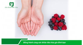 CHẾ ĐỘ ĂN HỢP LÝ THEO NGUYÊN TẮC BÀN TAY