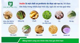 PREBIOTIC INULIN GIÚP CẢI THIỆN SỨC KHỎE ĐƯỜNG RUỘT