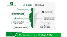 HỆ TIÊU HÓA “BỘ NÃO THỨ HAI” CỦA CƠ THỂ CON NGƯỜI