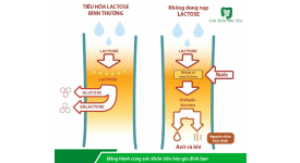 TRẺ TIÊU CHẢY DO BẤT DUNG NẠP LACTOSE