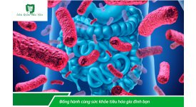 LỢI ÍCH CỦA BIFIDOBACTERIUM ANIMALIS SSP LACTIS