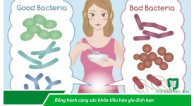 NÊN DÙNG MEN VI SINH THẾ NÀO LÀ ĐỦ?