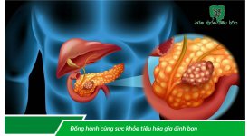 MEN TIÊU HÓA NGUỒN THỰC VẬT  BẢO ĐẢM TỐT CHO TIÊU HÓA 