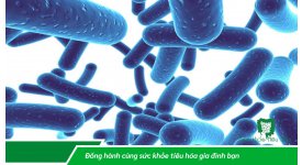 LỢI ÍCH SỨC KHỎE CỦA MEN VI SINH PROBIOTIC   