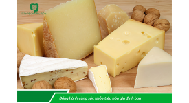 Các loại thực phẩm giúp tăng cường lợi khuẩn