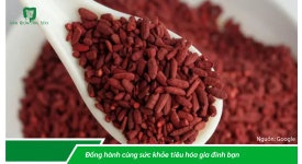 LỢI ÍCH GIẢM CHOLESTEROL MÁU CỦA MEN GẠO ĐỎ