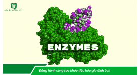 MEN TIÊU HÓA, GIẢI PHÁP TỰ NHIÊN ĐỂ TIÊU HÓA TỐT