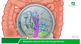 MẤT CÂN BẰNG HỆ VI SINH RUỘT & CÁC BỆNH LIÊN QUAN