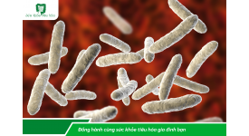 HỆ VI SINH RUỘT TRONG ĐIỀU TRỊ RỐI LOẠN CHỨC NĂNG ĐƯỜNG RUỘT