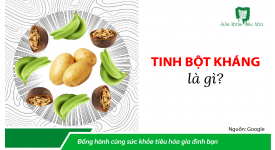 NHỮNG HIỂU BIẾT VỀ TINH BỘT KHÁNG
