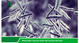 FOS + MEN VI SINH LÀ SỰ KẾT HỢP PREBIOTICS & PROBIOTICS ĐEM LẠI LỢI ÍCH SỨC KHỎE NHƯ THẾ NÀO?