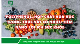 POLYPHENOL, HỢP CHẤT HÓA HỌC TRONG THỰC VẬT CÓ NHIỀU TIỀM NĂNG LỢI ÍCH SỨC KHỎE