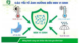 MEN VI SINH CÔNG NGHỆ CAO ĐẢM BẢO HÀM LƯỢNG LỢI KHUẨN BỔ SUNG TỐI ƯU