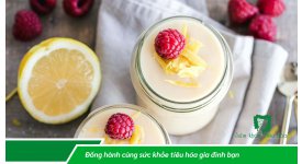 ĂN SỮA CHUA NHIỀU CÓ TỐT CHO HỆ TIÊU HÓA?